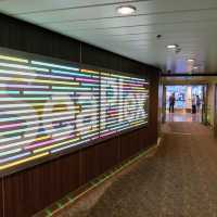 Incredible Royal Caribbean Cruise