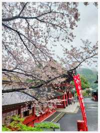 วิธีเดินทาง : Fukuoka -> Yutoku Inari Shrine