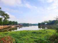 สะพานชมกวาง ชุมพร
