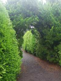 Maze Land