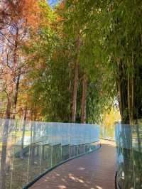冬日里的大理海舌公園，簡直是人生理想般的美好 ❤️