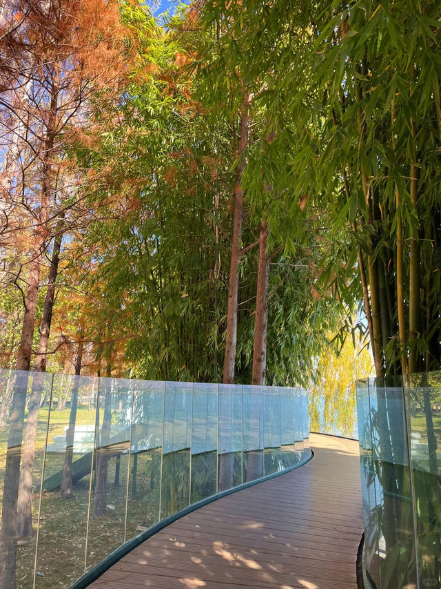 冬日里的大理海舌公園，簡直是人生理想般的美好 ❤️