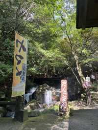 【福岡】森の中でランチ🌳🇯🇵