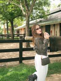 Trot Cafe Khaoyai ⛰️🐎