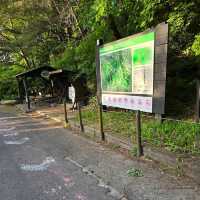 Gayasan National Park