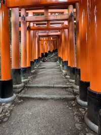 Kyoto: The Timeless Heart of Japan’s Culture and Tradition