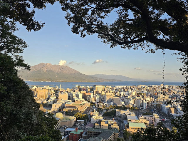 鹿児島一望🤍【城山公園展望台】