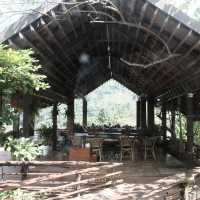 คาเฟ่ 1000 Stars: จิบกาแฟใต้หมื่นดาว