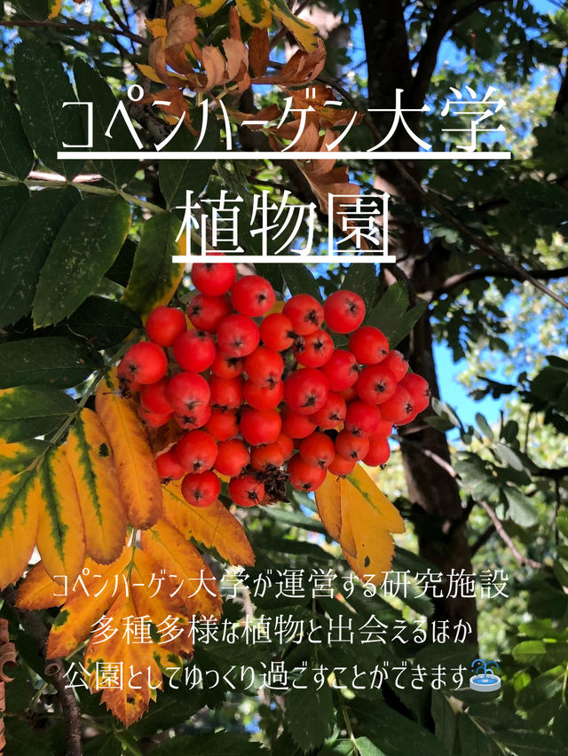 コペンハーゲン観光地14選