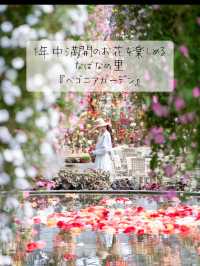 1年中満開のお花が楽しめる🌺 『ベゴニアガーデン』