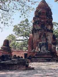 Time Stands Still: The Timeless Beauty of Wat Mahathat