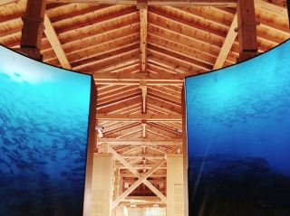 It turns out that the swamp once had a customs office.