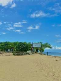아름다운 바다를 볼 수 있는 세부의 작은 섬🏝️