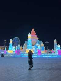 Amazing Harbin ❄️