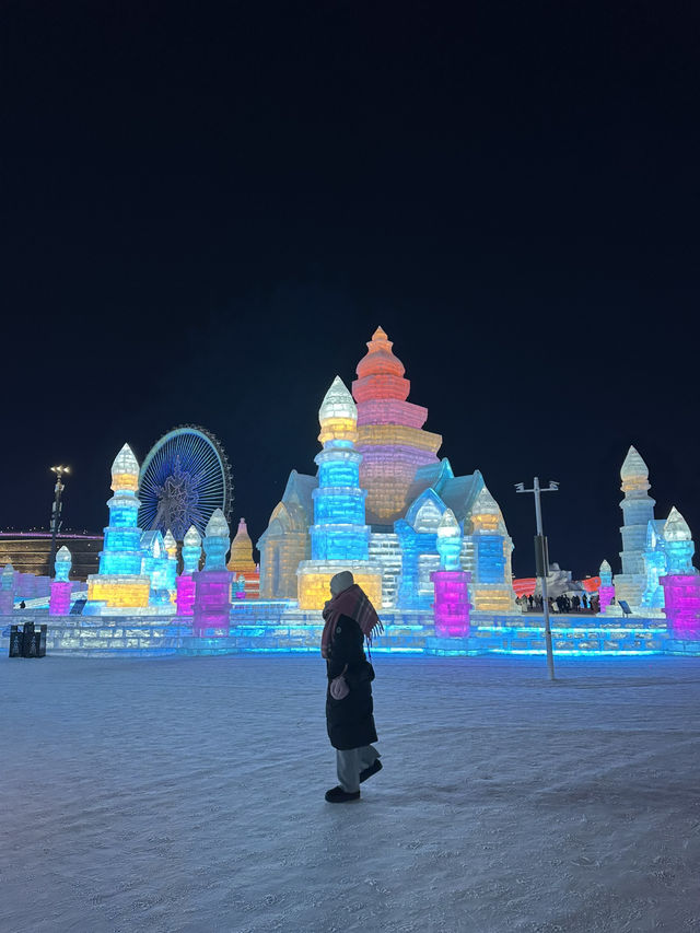 Amazing Harbin ❄️