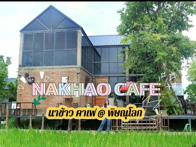 คาเฟ่กลางทุ่งข้าว 🌾..จ.พิษณุโลก 