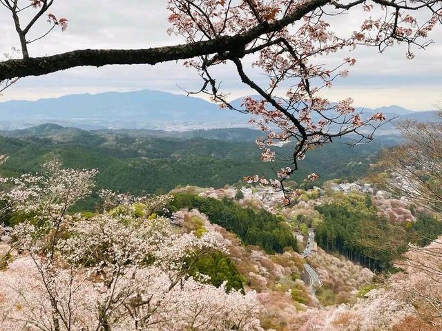 Mount Yoshino, Nara