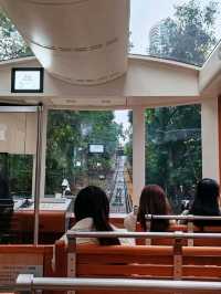 "The Peak Tram: Hong Kong’s Timeless Ascent"