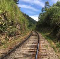 【スリランカ】幻想的な鉄道絶景！ナイン・アーチ・ブリッジ🚂🌿