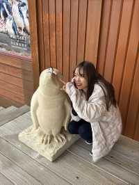 奧馬魯1日遊攻略🐧 探索可愛小動物的世界
