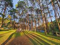 Pang Ung Camp Site - ลานกางเต็นท์ปางอุ๋ง