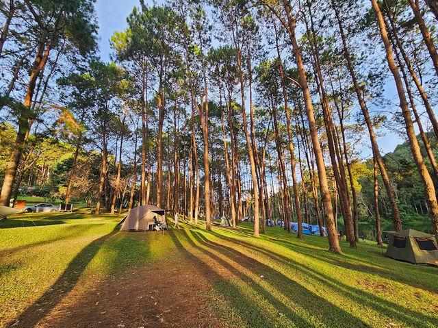 Pang Ung Camp Site - ลานกางเต็นท์ปางอุ๋ง