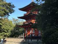 歷史與美景的完美交融：探訪京都的清水寺