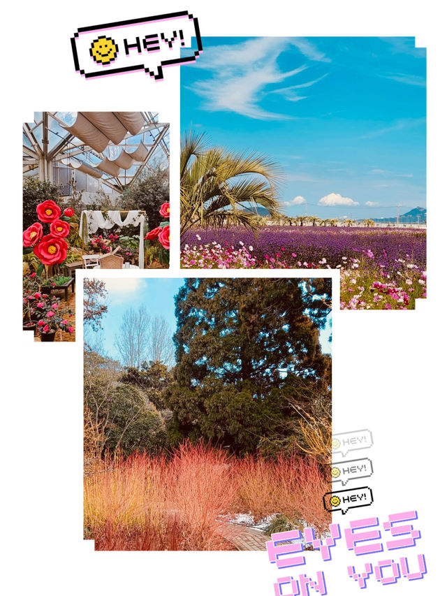 Spring's Serene Seaside Stroll 