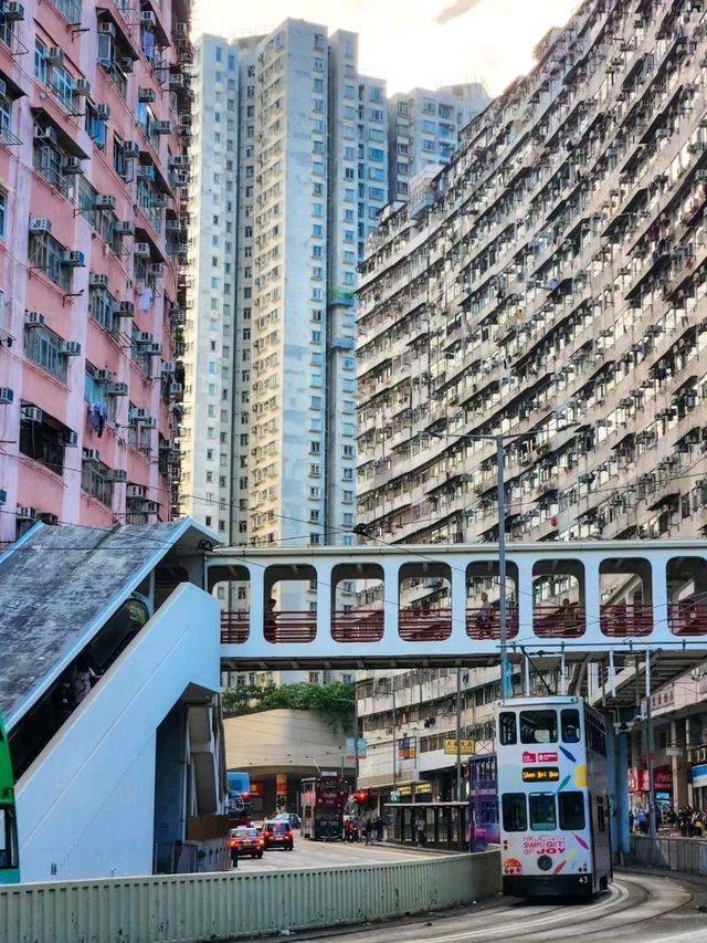 Hong Kong Adventure: 4 Days of Cityscapes, Markets & Skyline Views!🏙