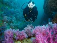 สำรวจ Dive site เกาะพระทอง
