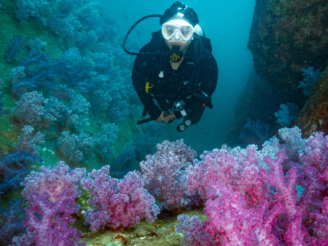 สำรวจ Dive site เกาะพระทอง