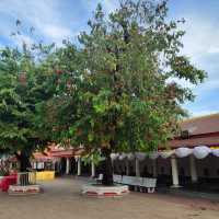 พระธาตุพนม