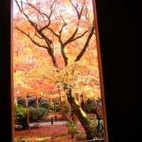 Kyoto không đông đúc - Enkouji Temple