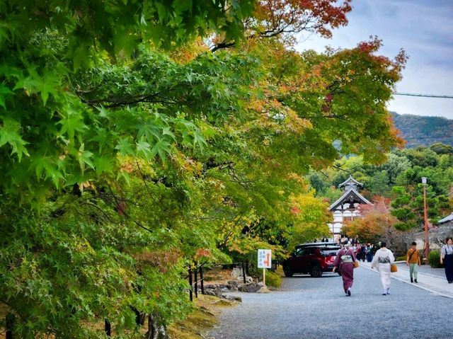 Arashiyama in Early Autumn: A Symphony of Colors and Serenity🎍🍂