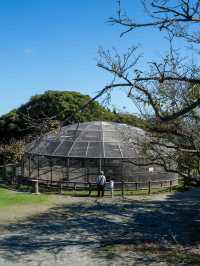 披露山公園🏞️ 逗子の絶景スポット