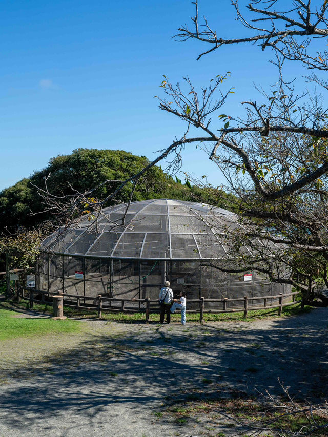 披露山公園🏞️ 逗子の絶景スポット