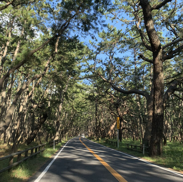 【唐津】🇯🇵 唐津バーガー