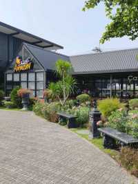 คาเฟ่ อเมซอน ปั้ม ปตท. ปากเกร็ด 