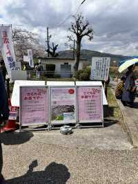 【京都】石清水八幡宮駅から行ける桜祭りは必見！