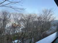 東京追櫻河口湖追富士山