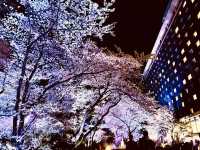都会の隠れ桜スポット！品川プリンスホテル「桜タワー」で春気分満開