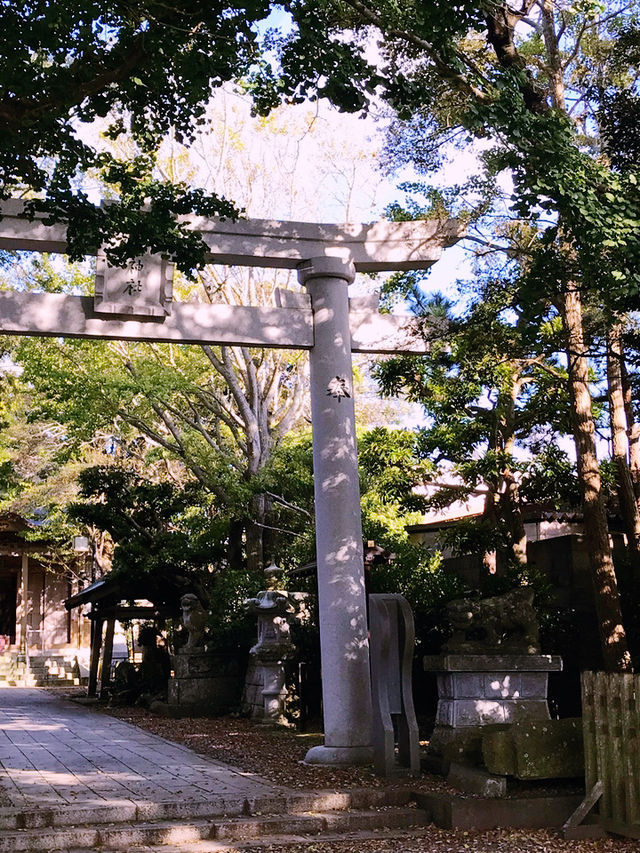 【千葉　銚子　犬吠埼だけじゃない。朱塗りの柱組が美しい飯沼山円福寺　飯沼観音】 
