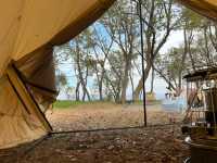 自然美に癒される！メタセコイア並木×キャンプ旅🌲⛺️✨