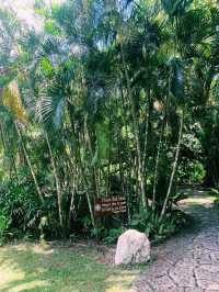 ✨💙Greenery at The Farm at San Benito✨💙