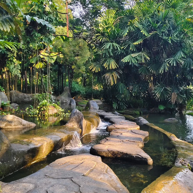 裕廊湖花園•熱帶奇花異卉