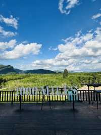 ไร่ชา 1000 ไมล์ – แวะพักชิมชา กาแฟ สไตล์ชิลๆ