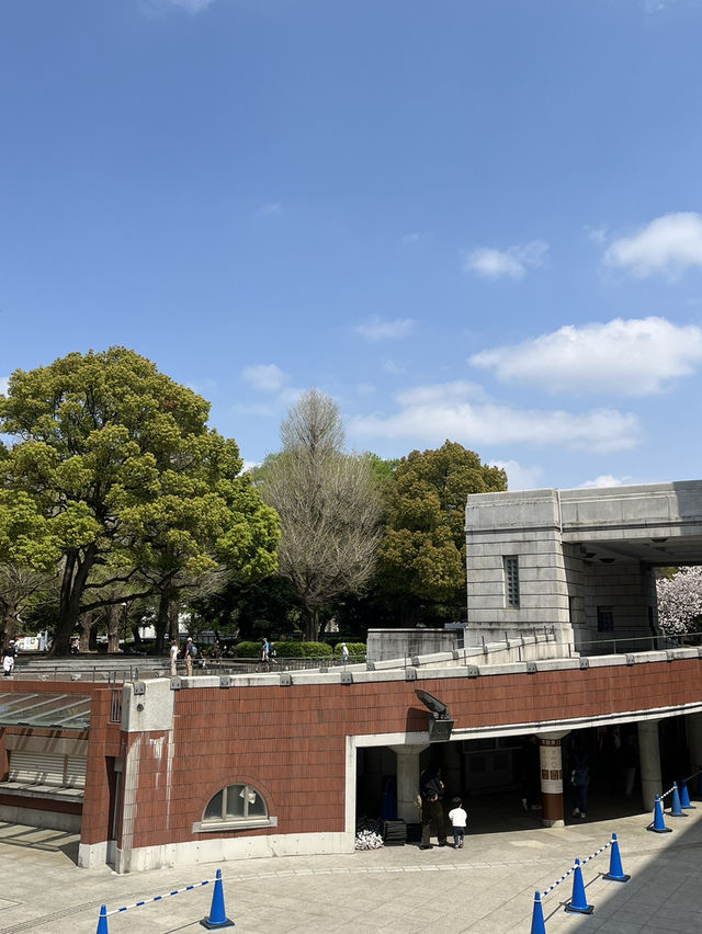 ワクワクが止まらない！上野・国立科学博物館で“知の冒険”に出発しよう！