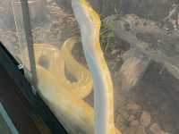 Borneo Happy Farm Date