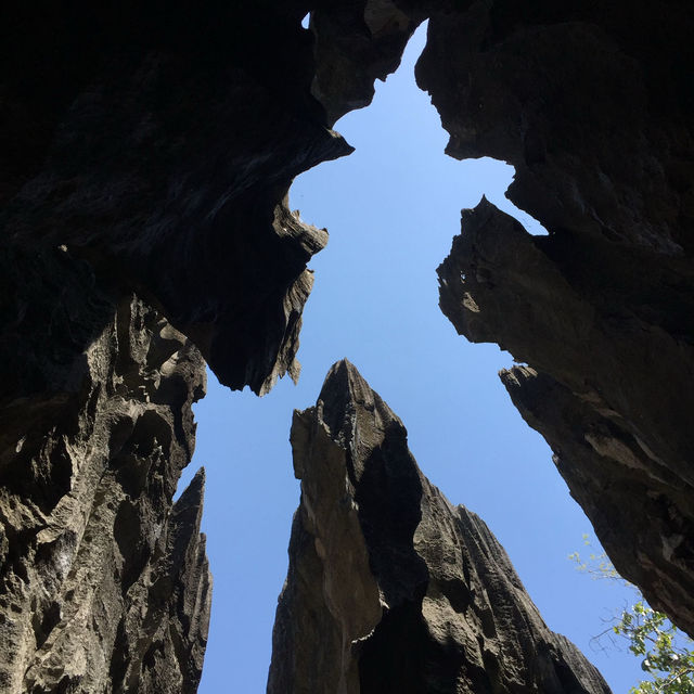 走進另一個世界｜Tsingy De Bemaraha National Park