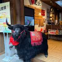 พาเดิน เมืองโบราณ Lijiang Ancient Town🇨🇳
